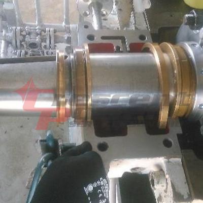 Sulzer02