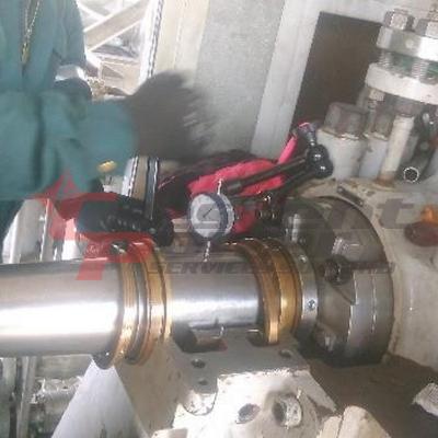 Sulzer03